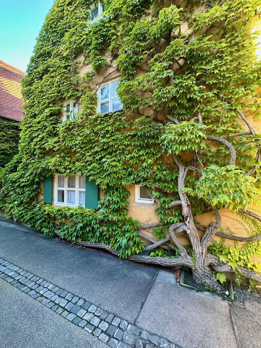 illustratie Die Fuggerei